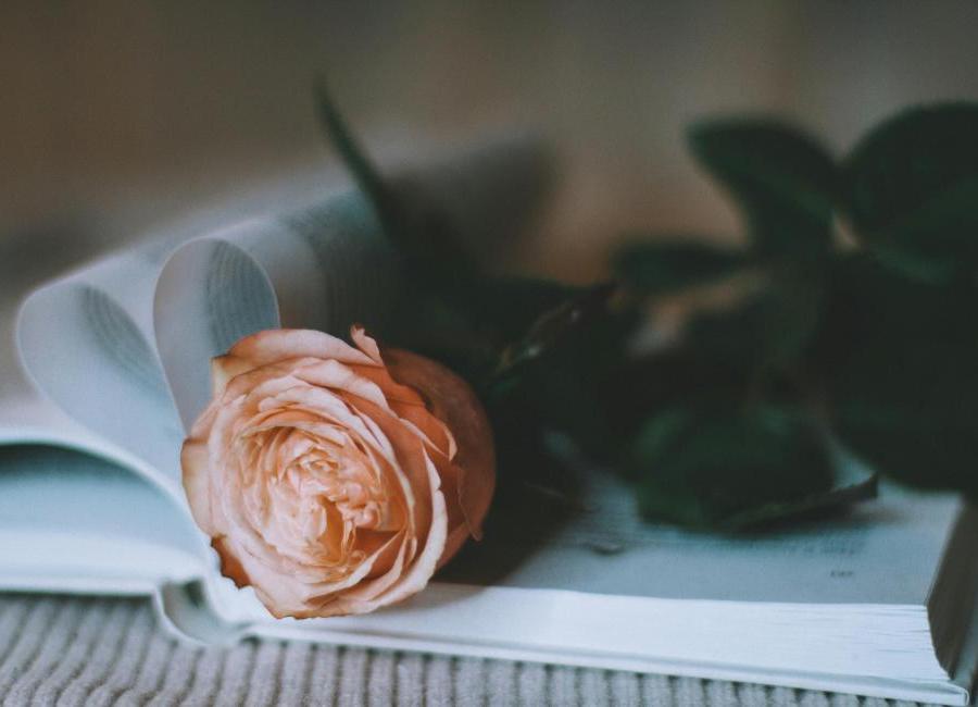 Herkulova krev: Sparťané, bohové a nebezpečná přitažlivost